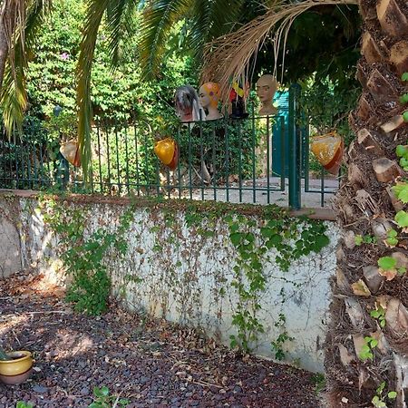 Appartement & Spa - Panoramic Olivars Pau Exterior photo